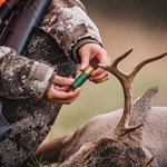 Shotgun Slug 101: What to Look For | An Official Journal Of The NRA