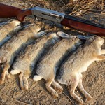 Hunting Small Game: An Overview | An Official Journal Of The NRA