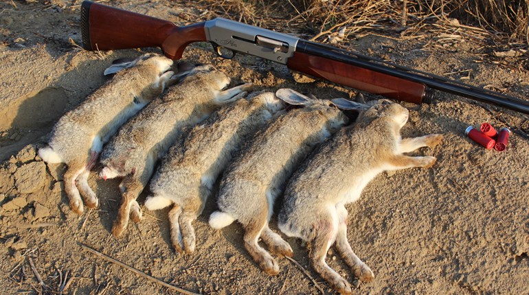 Hunting Small Game: An Overview | An Official Journal Of The NRA