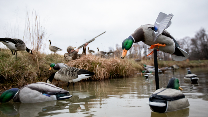 Avian-X PowerFlight Mallard Motion Decoy