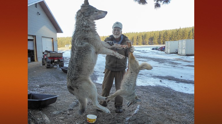 Member's Hunt: A Double, Plus One | An Official Journal Of The NRA