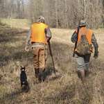 Hunters Walking With Dog