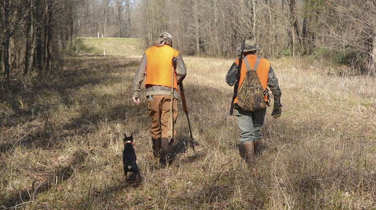 (Squirrel) Dog Days in the Delta | An Official Journal Of The NRA