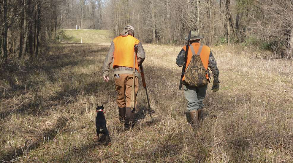 Hunters Walking With Dog