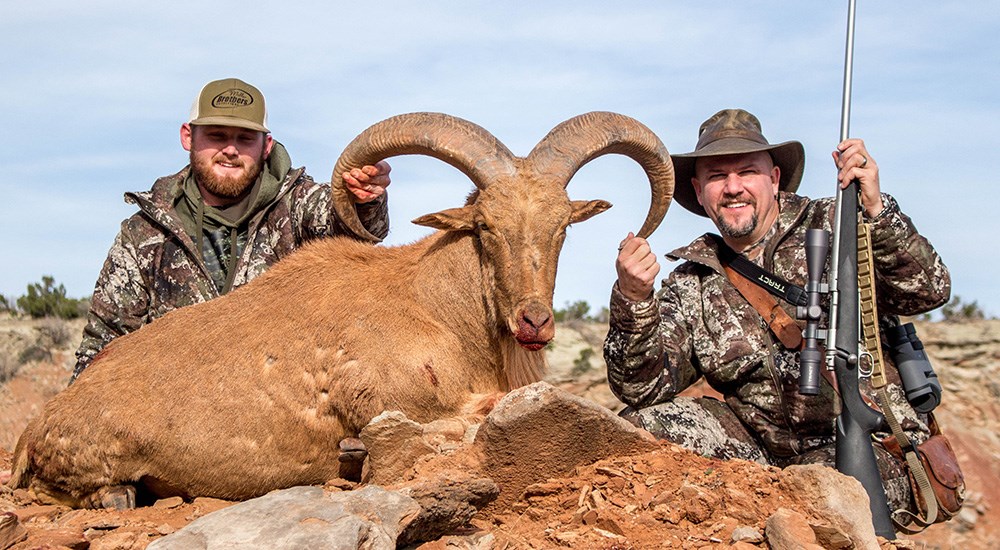 Male hunter holding rifle posing with Aoudad.