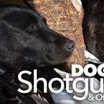 dogs_ah2015_fs.jpg (74)