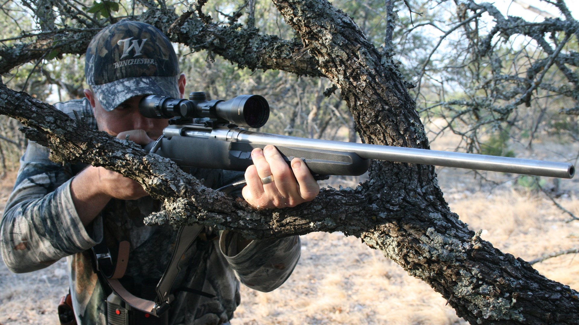 Shooting a rifle off a branch