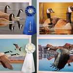 MAIN 2022 California Art Entries