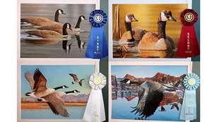 MAIN 2022 California Art Entries
