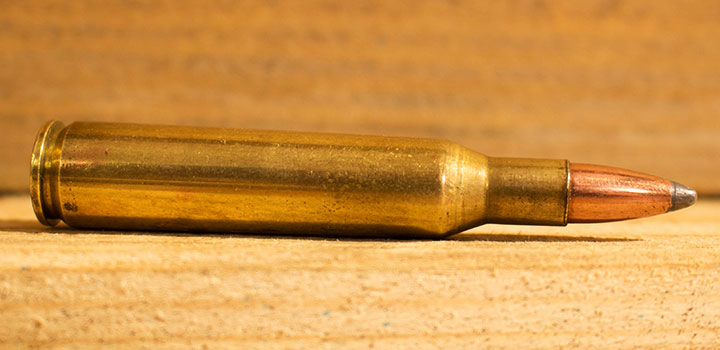 .257 Roberts Cartridge Lengthwise