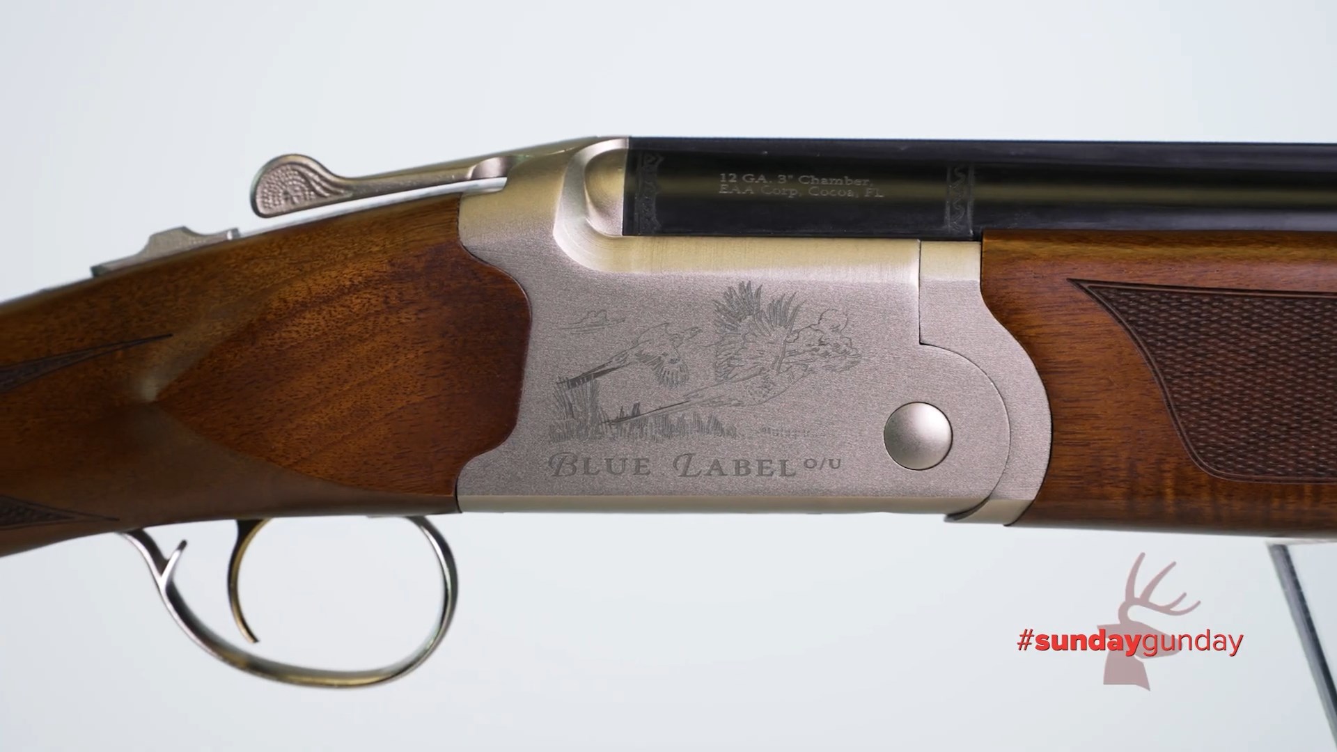 Pheasant engraving