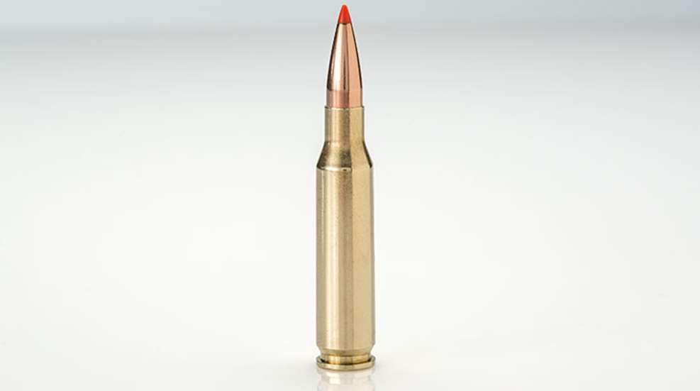 hornady_custom_lite_f.jpg