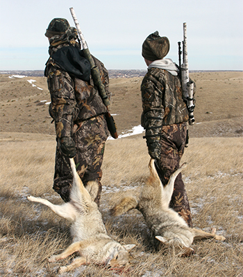 Two hunters dragging coyotes side-by-side