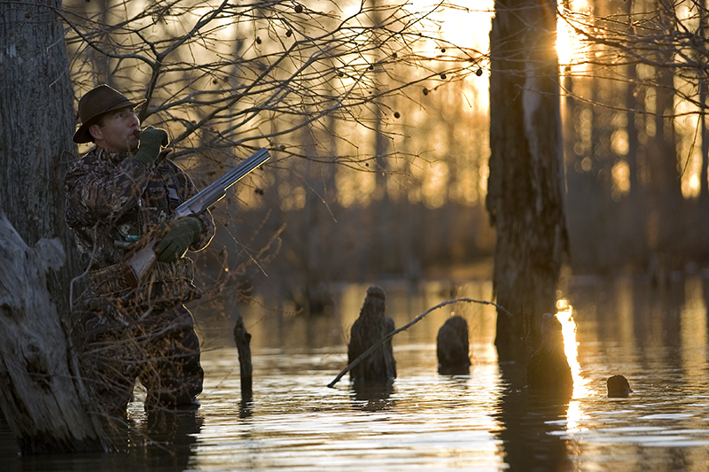 Timber Hunting