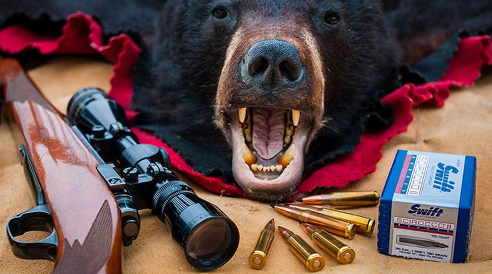 5reasonsspringbearhunt_lead.jpg