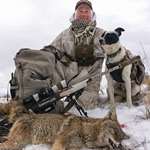 Create Coyote Fight Club Sounds Lead