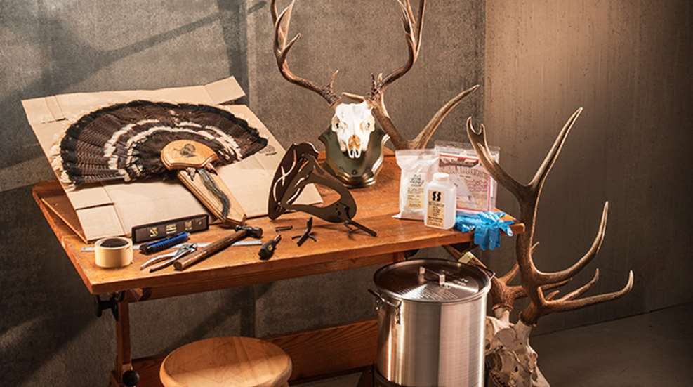 gear-diy-taxidermy-solutions_lead.jpg
