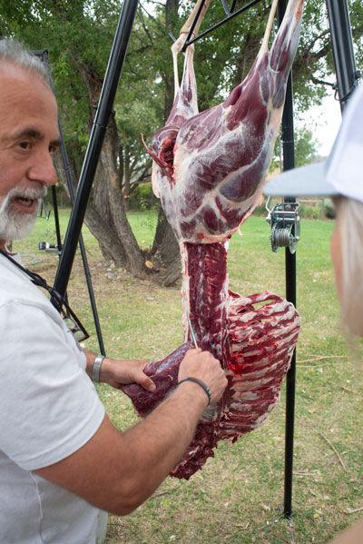 Chef Albert Wutsch explained we should quarter and remove backstraps and neck meat and put it all on ice then de-bone meat the next day after the muscles complete rigor mortis. A top lesson was learning to identify hindquarter cuts (below).