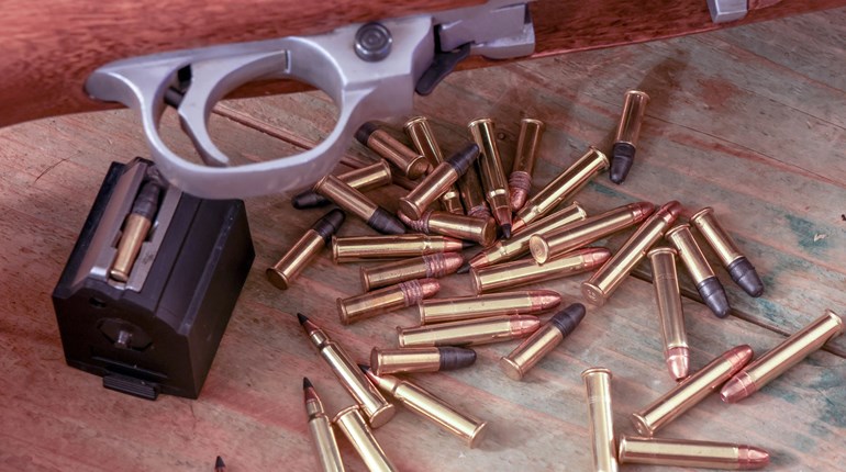 Top 10 Rimfire Loads for Hunters | An Official Journal Of The NRA