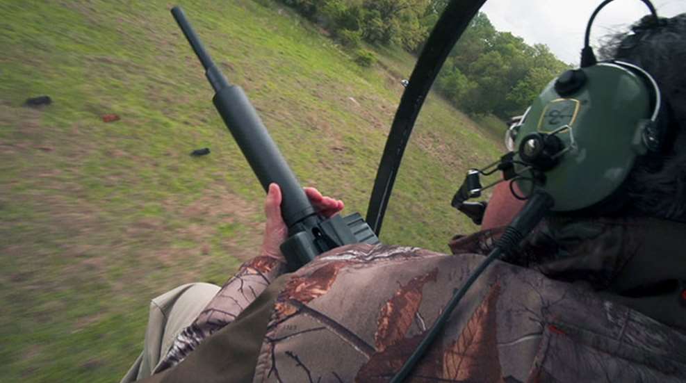 ah_heli_hogs.jpg