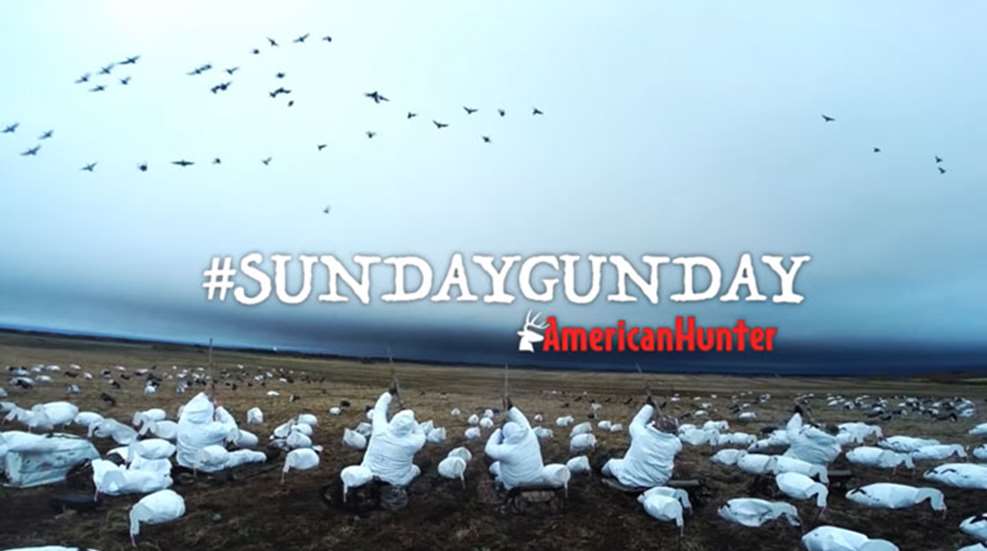 sundaygunday-logo.jpg