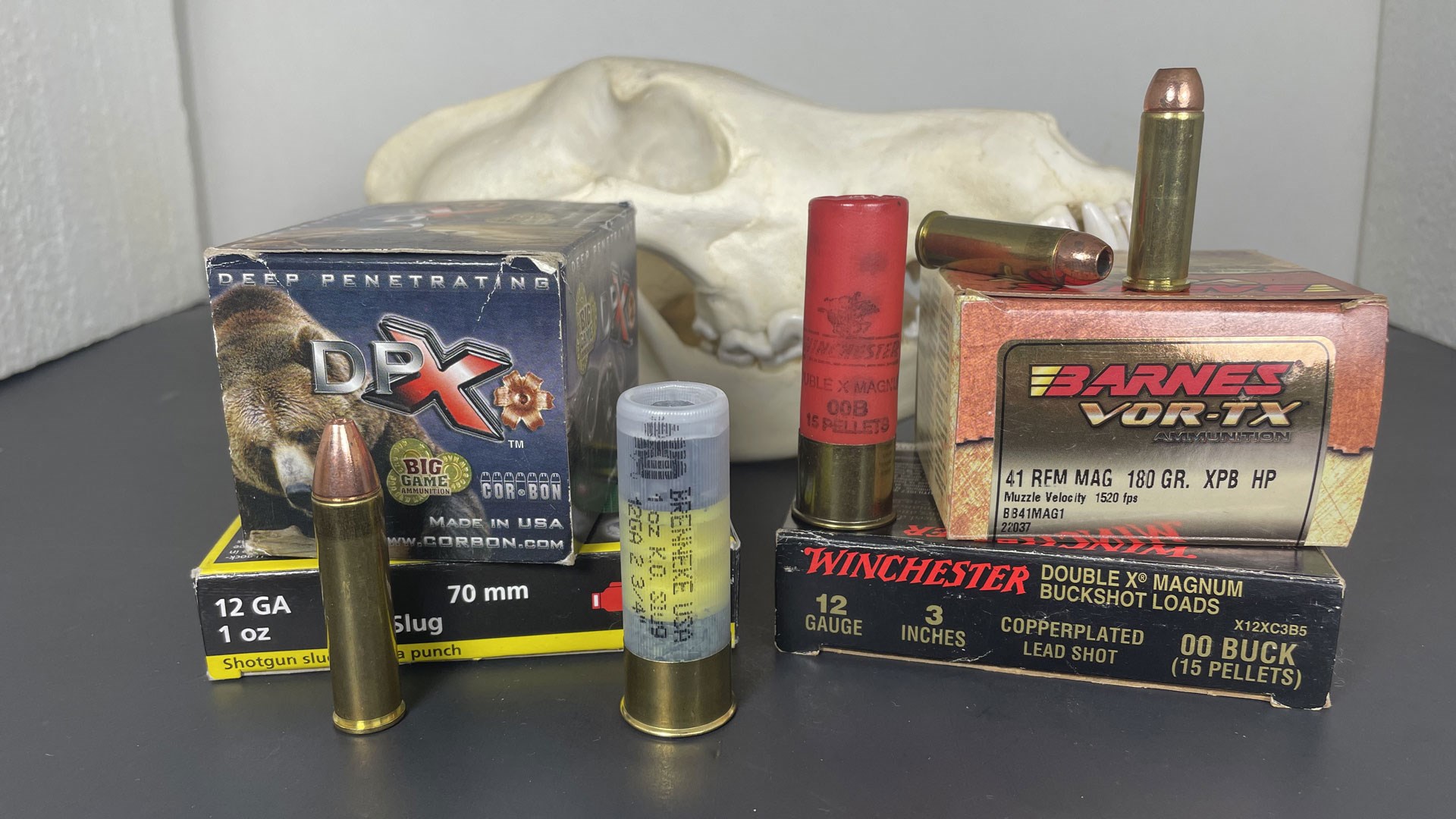 Bear skull with cartridges