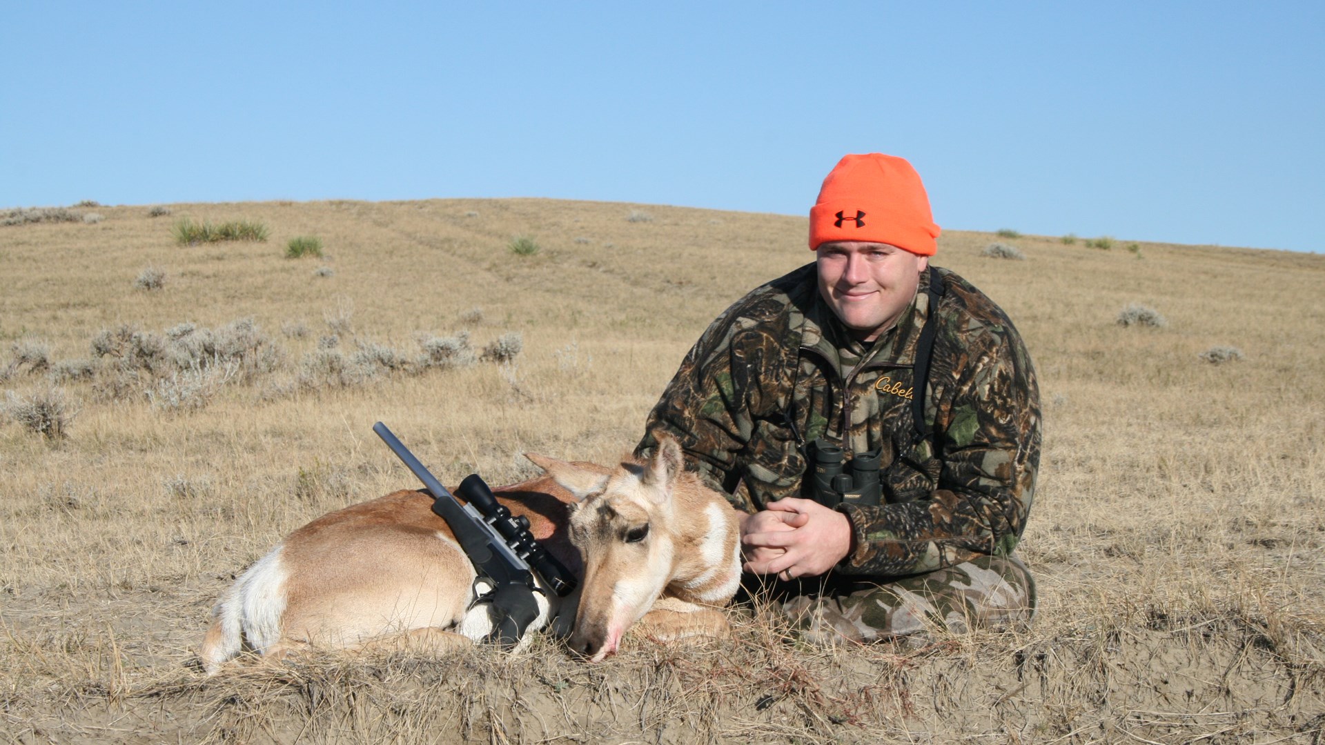 Antelope doe