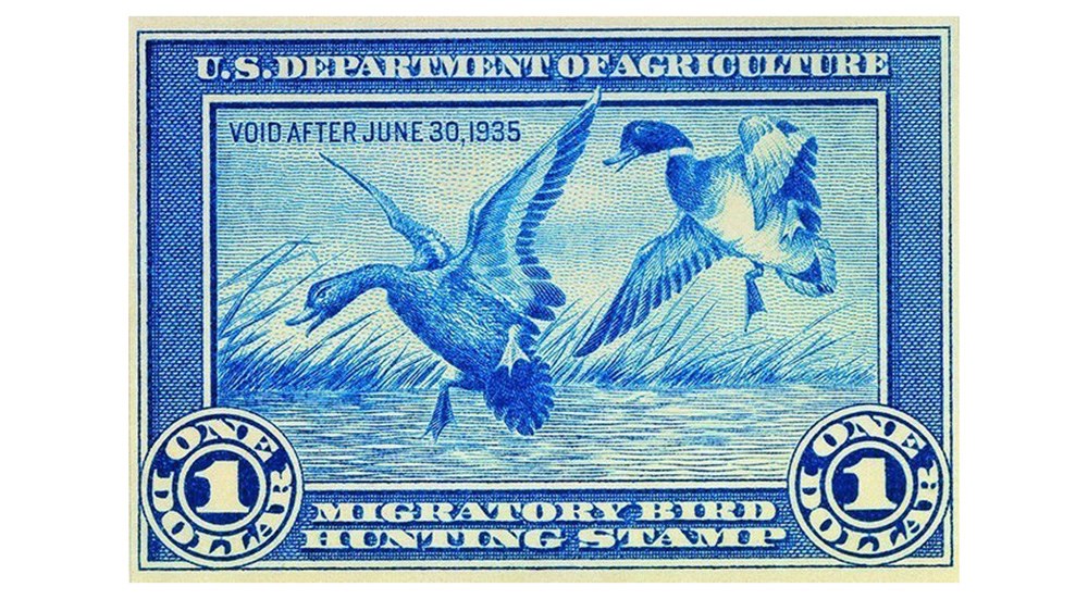 First U.S. Department of Agriculture Migratory Duck Stamp.