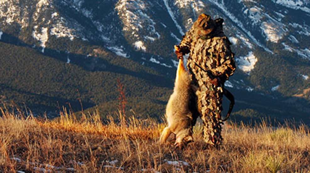 talk_back_coyotes_f.jpg