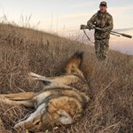 Coyote Tactics: Stay Flexible | An Official Journal Of The NRA