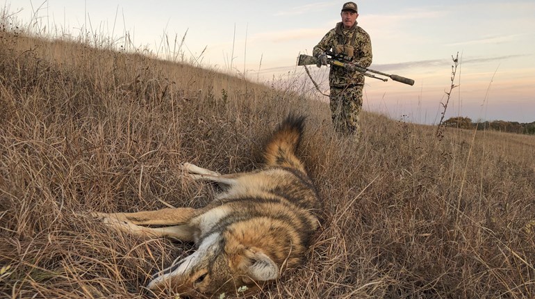Coyote Tactics: Stay Flexible | An Official Journal Of The NRA