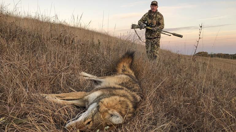 Coyote Tactics: Stay Flexible | An Official Journal Of The NRA