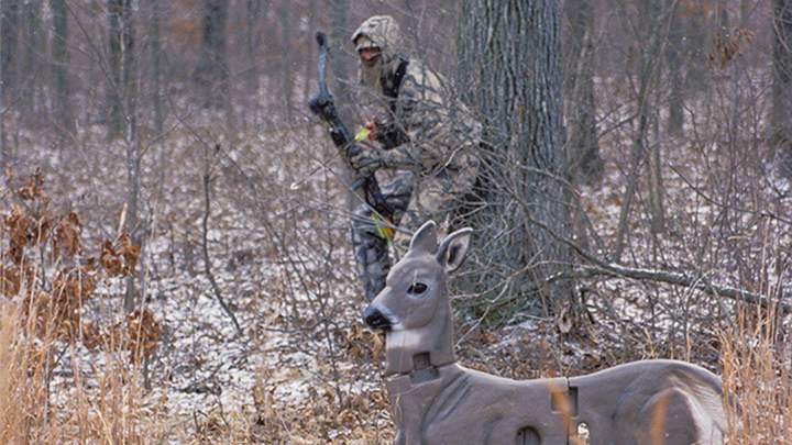 Bowhunter staking doe decoy