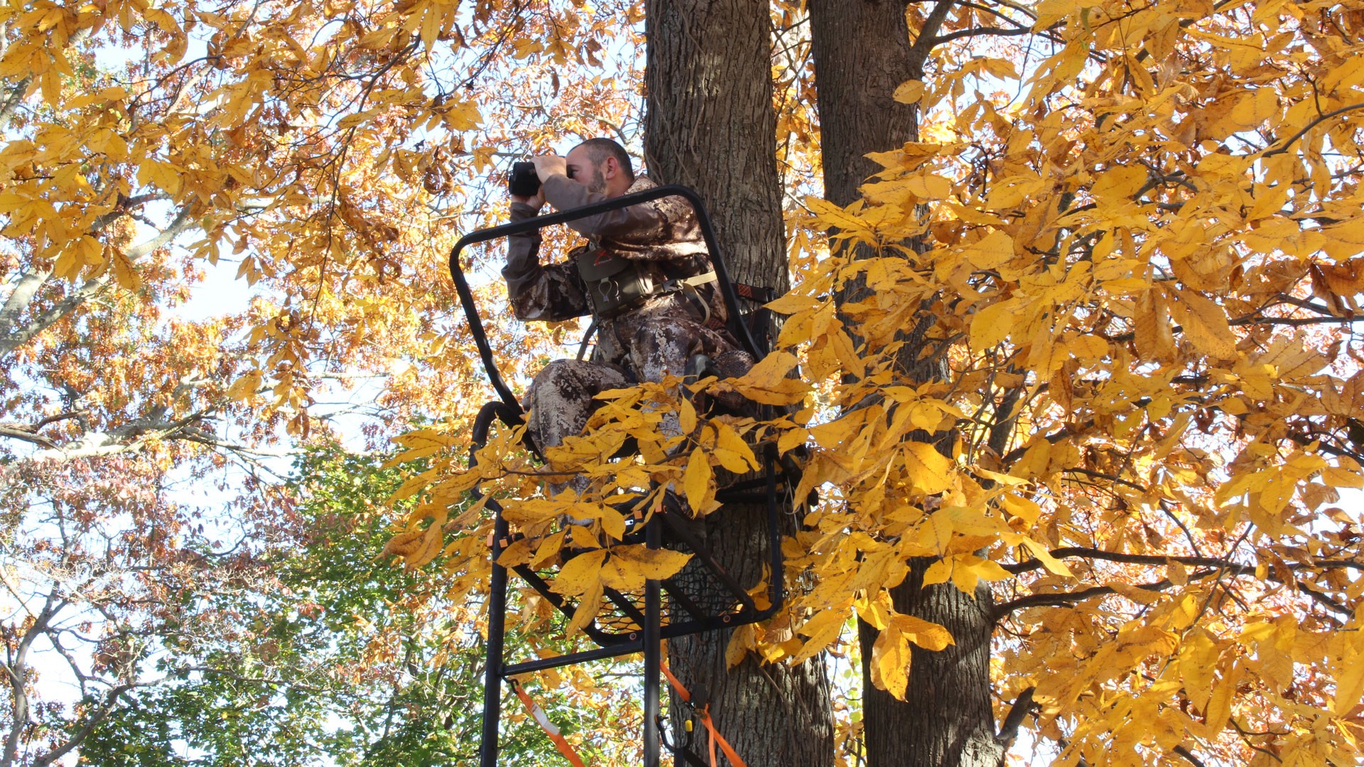 hunter in treestand