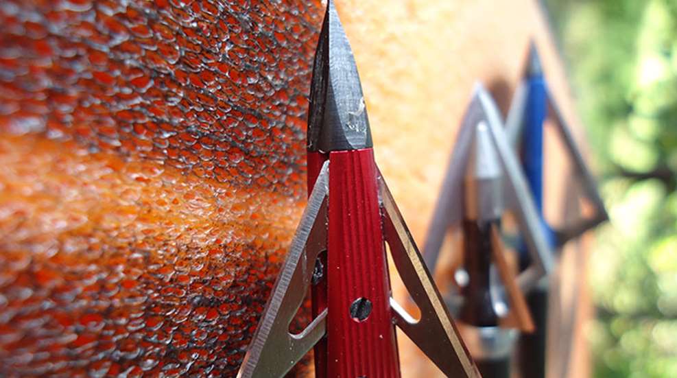 broadhead_sharpening_f.jpg