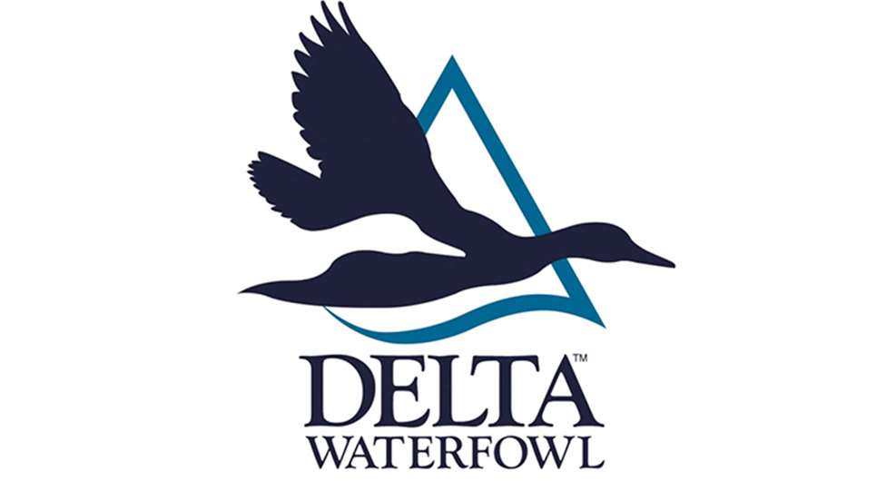 delta_2016.jpg