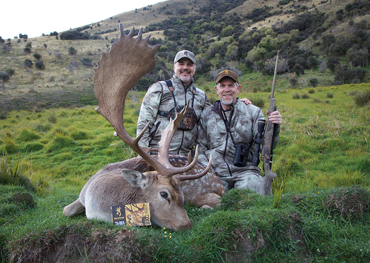 Fallow Deer