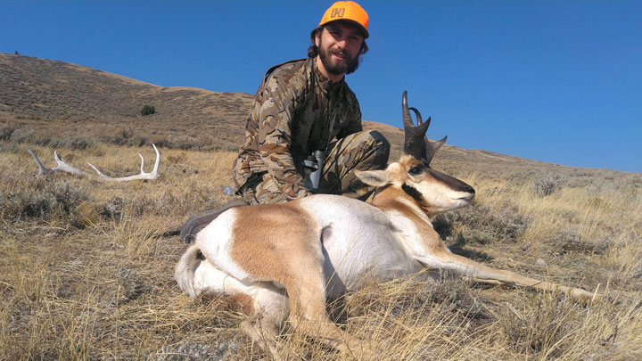 Pronghorn down outside of Casper Wyoming