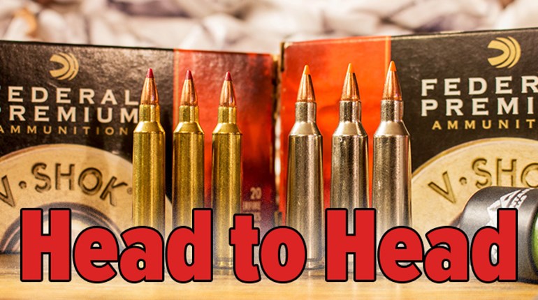 h2h-22-250-remington-vs-204-ruger_lead.jpg