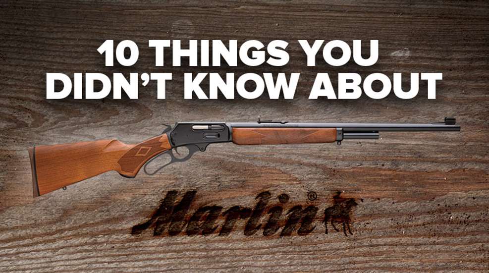 10things-marlin_lead.jpg