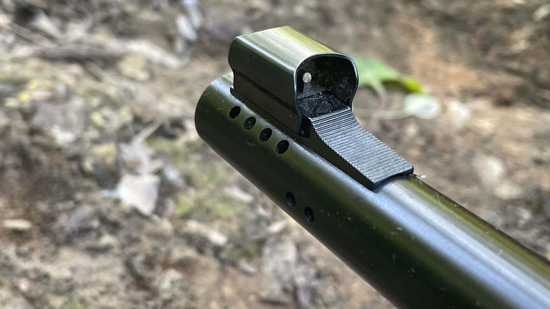 Ghost ring front sight
