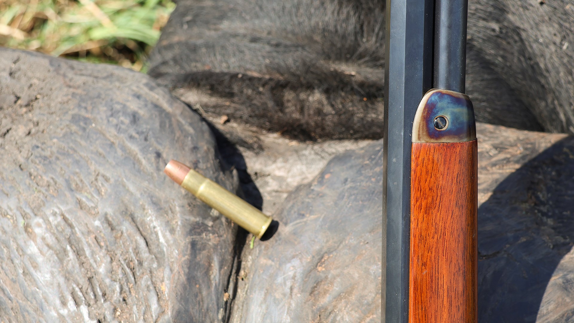 Cartridge on horn