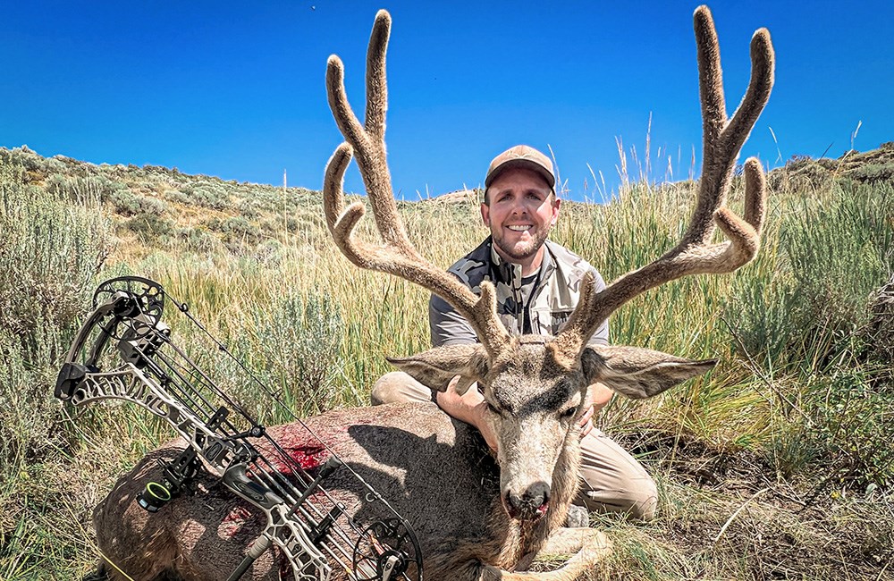 Early-Season Mule Deer Hunting Tips | An Official Journal Of The NRA