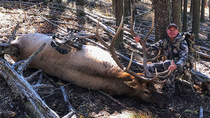 Bowhunter with Public Land Bull Elk