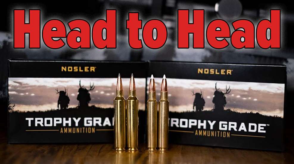 H2H 28 Nosler Vs 280 AI Lead