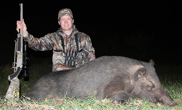 Big Pig Down