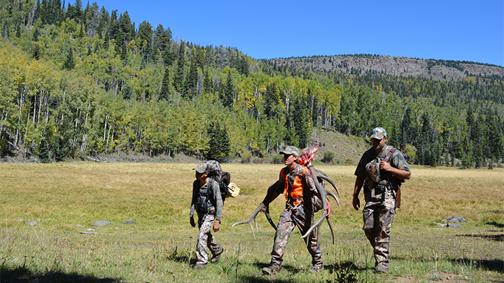 Elk Hunters Walking in Meadow