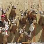 201192213483-bigbucks_f.jpg