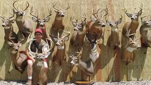 201192213483-bigbucks_f.jpg