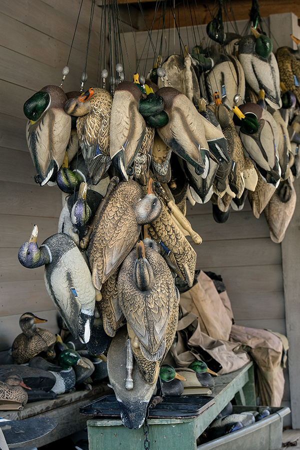 Decoys